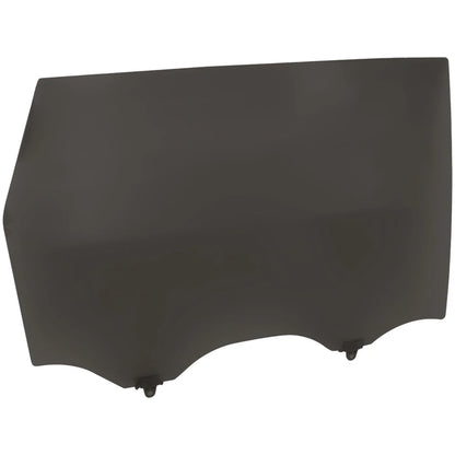 Door Glasses Set of 2 for Nissan