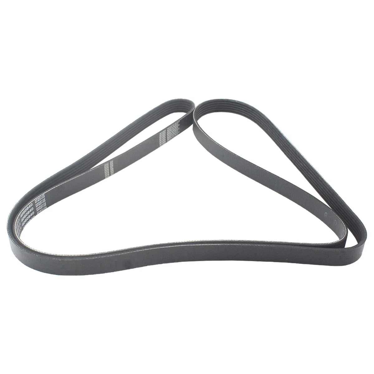 Serpentine Multi-V Belt (Part No. 4060840) for Continental