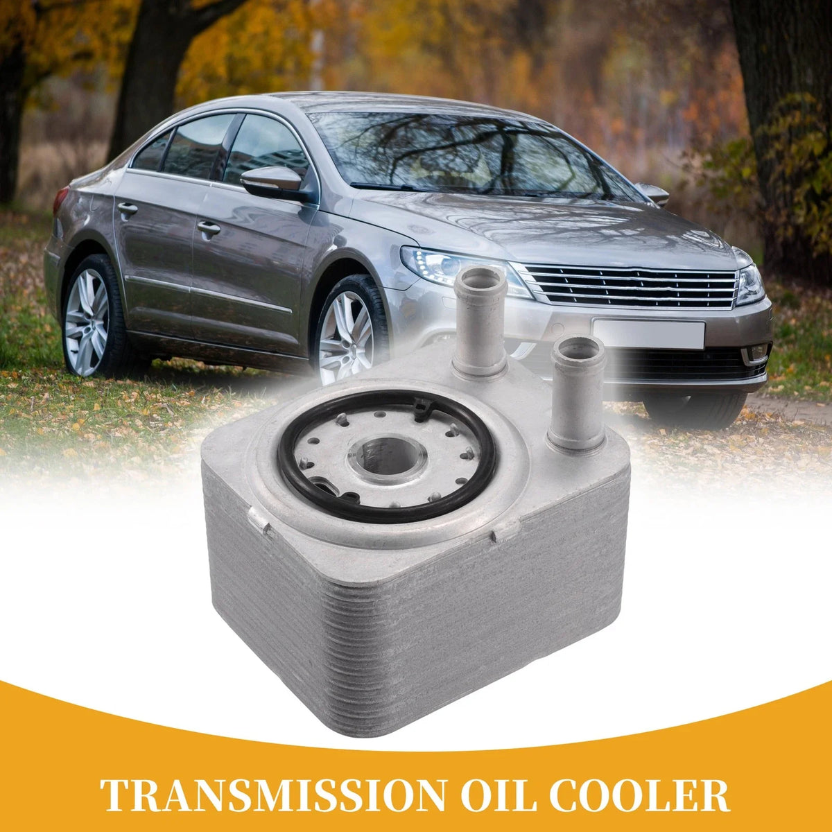 Engine Oil Cooler for Volkswagen Passat (No. 038117021C)