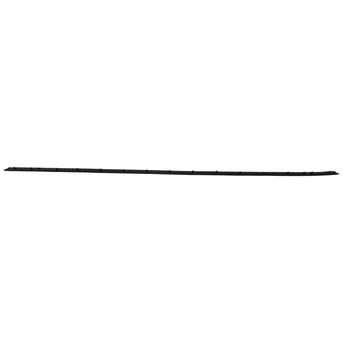 Weatherstrip Seal for Ford Mustang (2024)