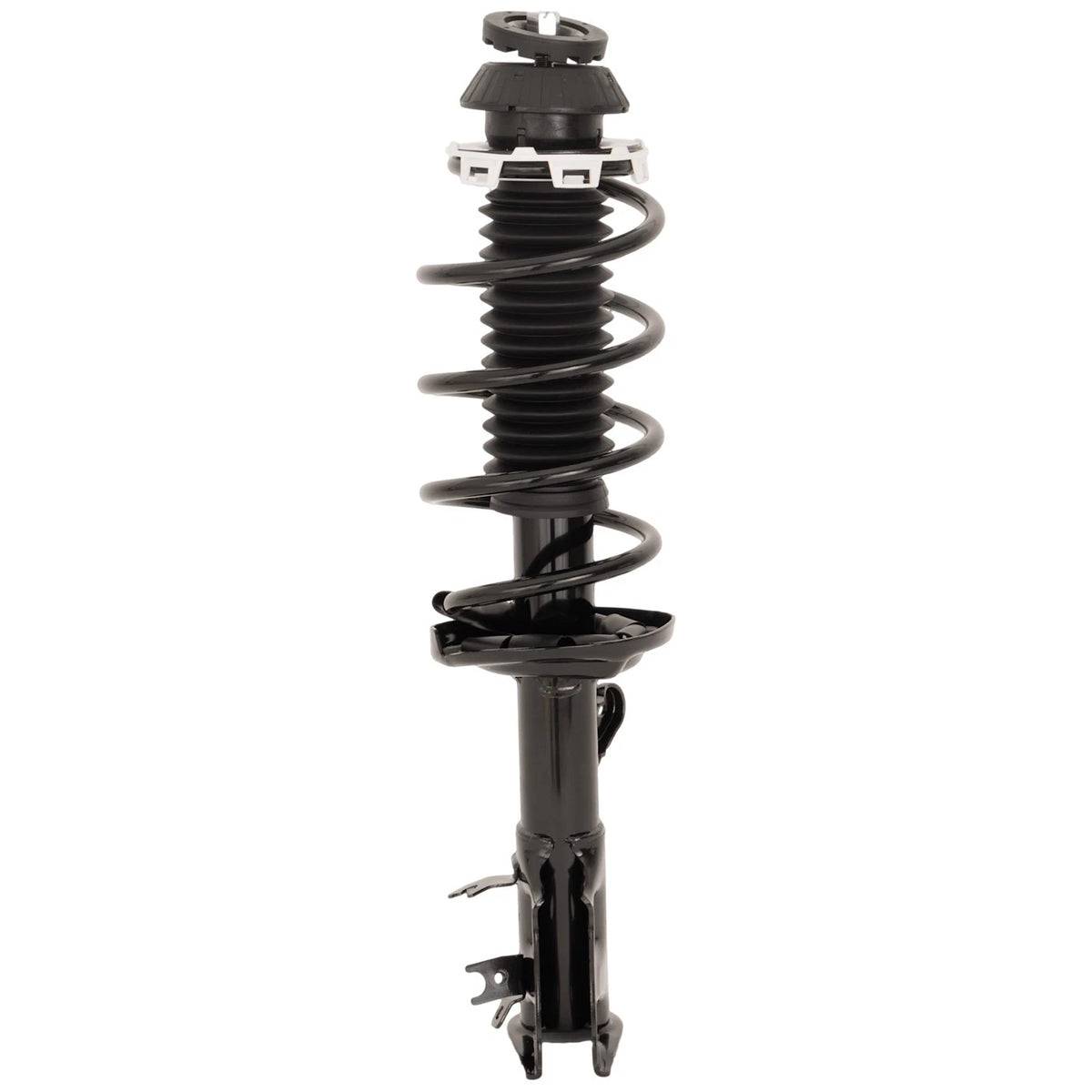 Pair Fully Loaded Strut Set