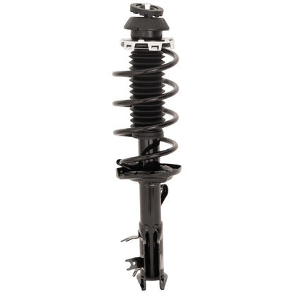 Pair Fully Loaded Strut Set