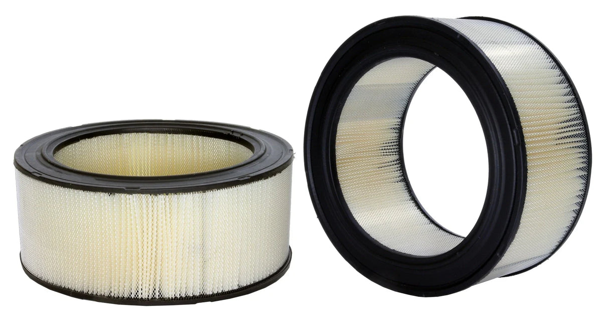 WIX Air Filter 46255 for Various Makes and Models