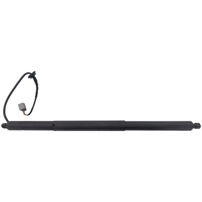 Liftgate Lift Support for Tesla Model S (2012–2020) Right Side