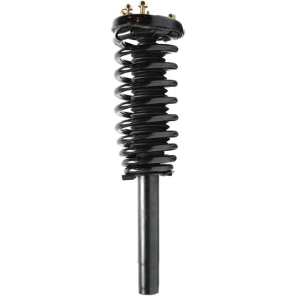 Set of 2 Loaded Struts for