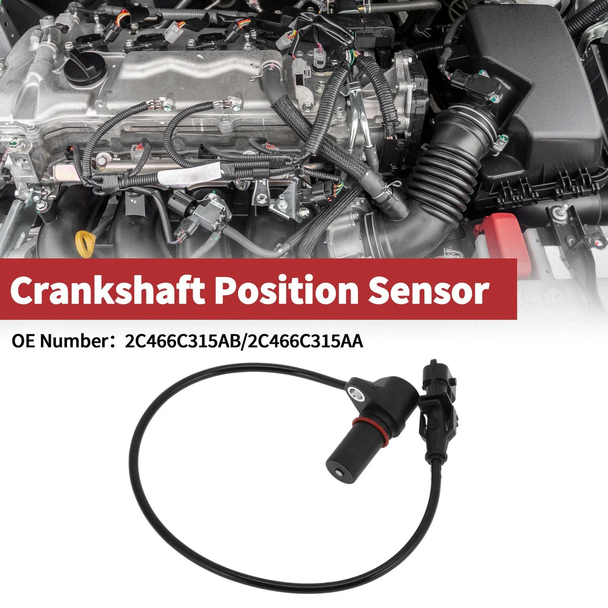 Crankshaft Position Sensor for Ford (No.2C466C315AB) 