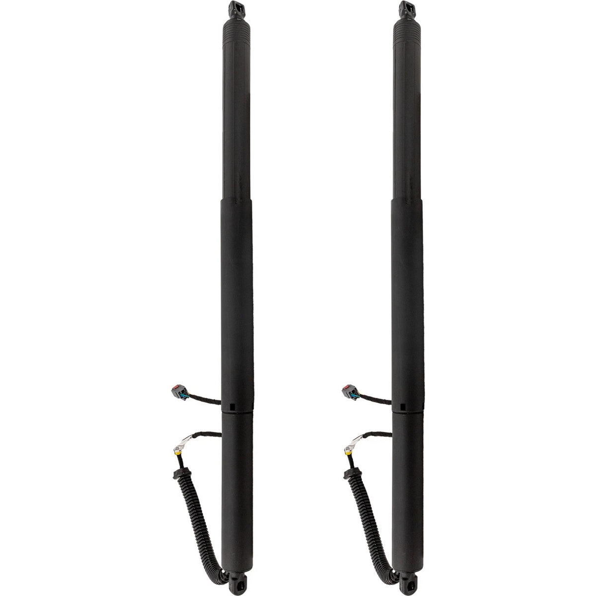 Set of 2 Liftgate Lift Supports for