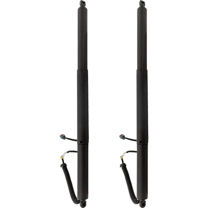 Set of 2 Liftgate Lift Supports for