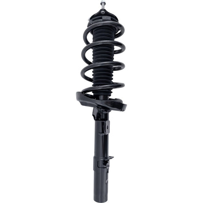 Strut Set of 2