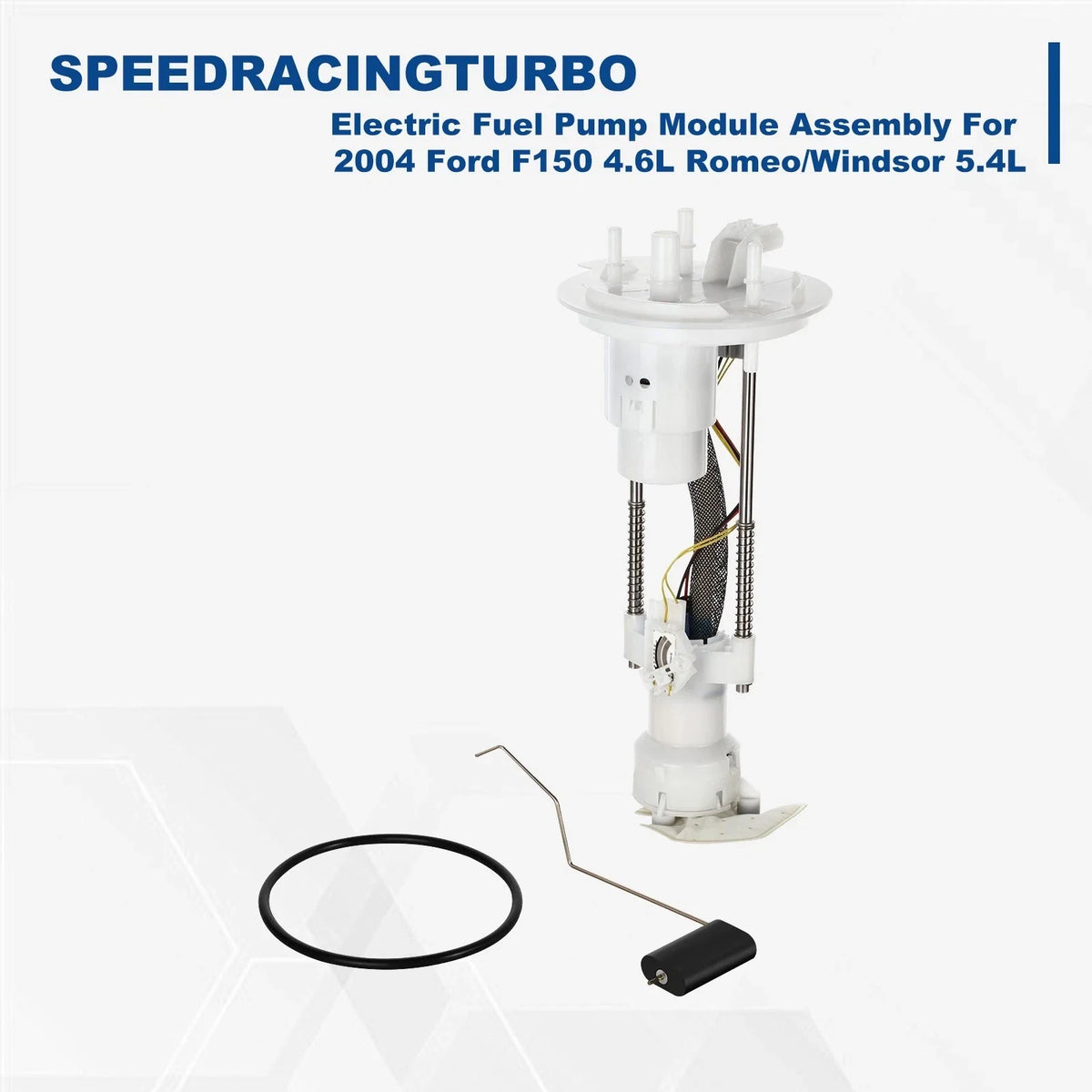 Fuel Pump Assembly Module for 2004 Ford F150 4.6L 5.4L