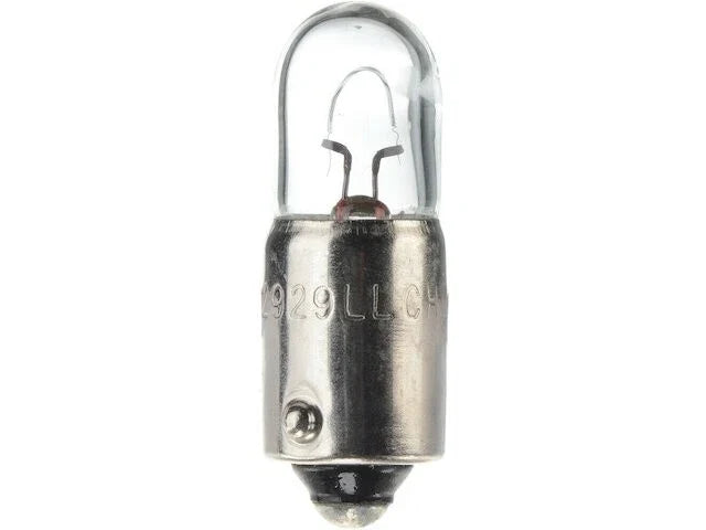 Map Light Bulb for Jaguar XJS (1984–1989) RS479XS