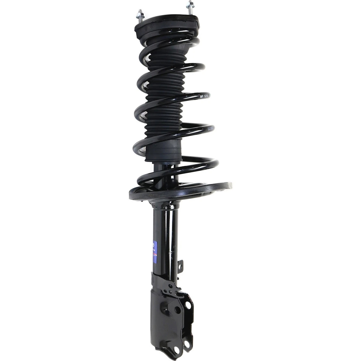 Strut Set of 2 for - Rear Left Right Pair