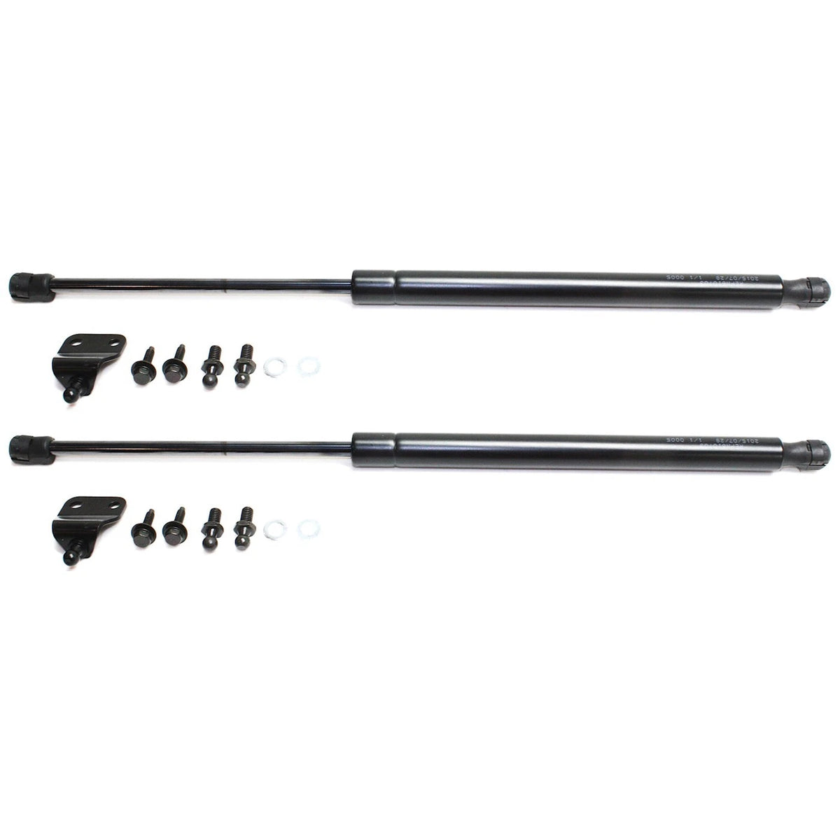 Set of 2 Trunk Lid Lift Supports for Coupe (Driver & Passenger Side)