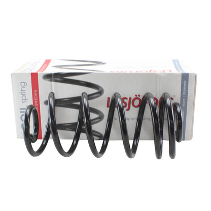 Rear Coil Spring Kit (4414239) for Chevrolet