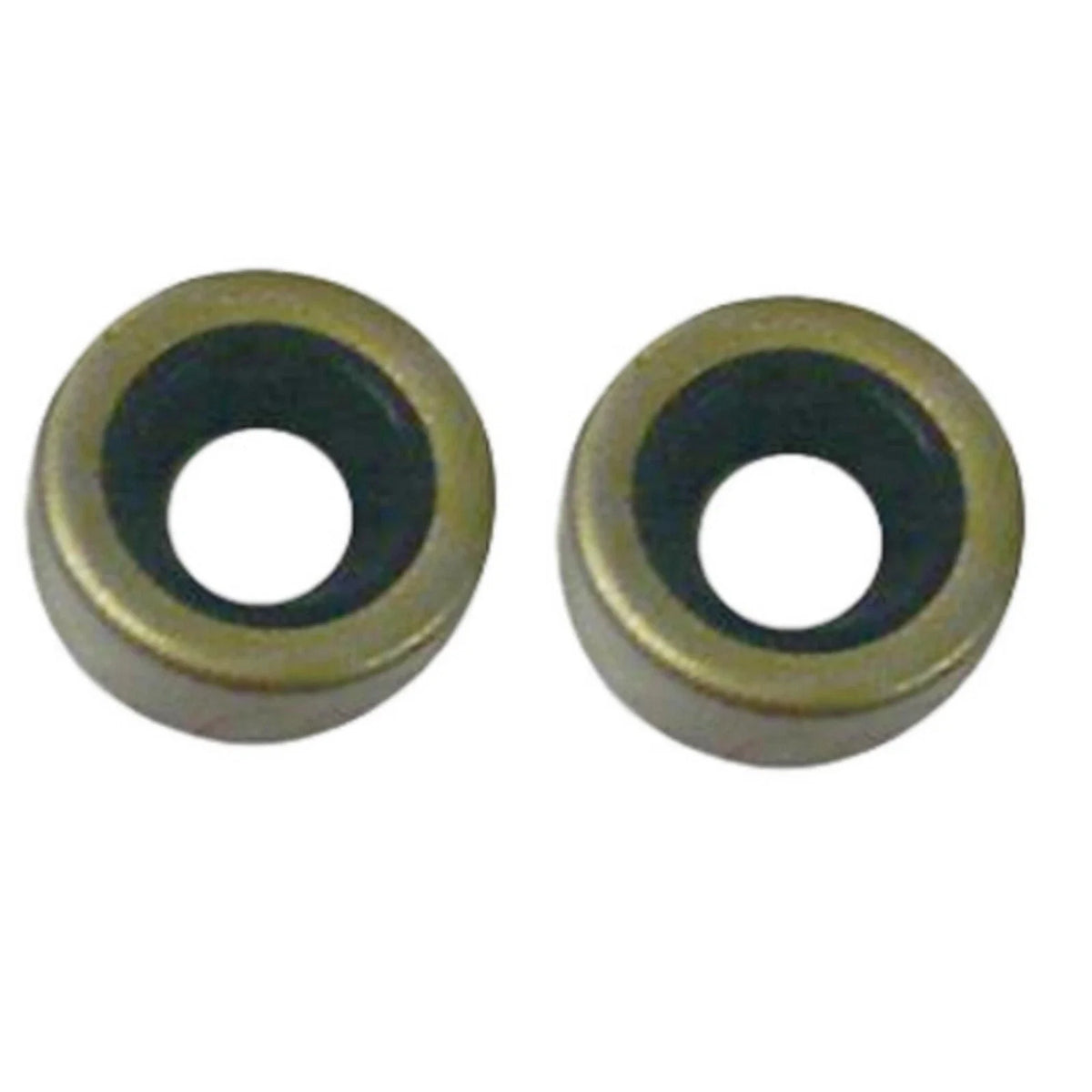 2X Shaft Oil Seal for Johnson Evinrude (RO: 327031, 0300599, 802292, 30900T)