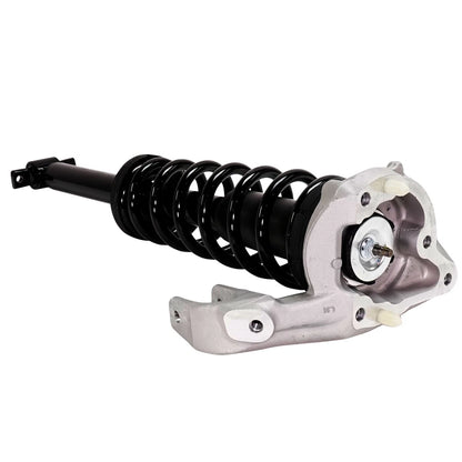 Strut Set of 2