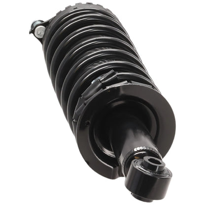Fully Loaded Strut for - Rear Left/Right Side