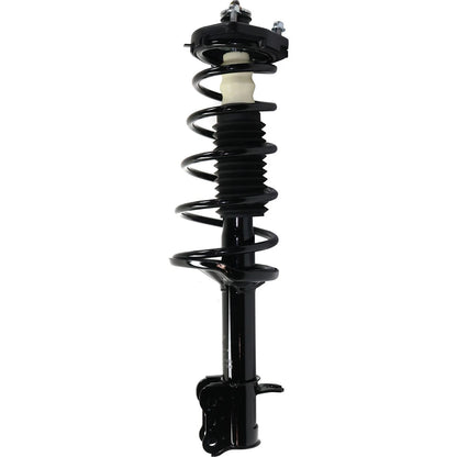 Shock Absorber and Strut Assembly for Mazda Protege (1999–2003)
