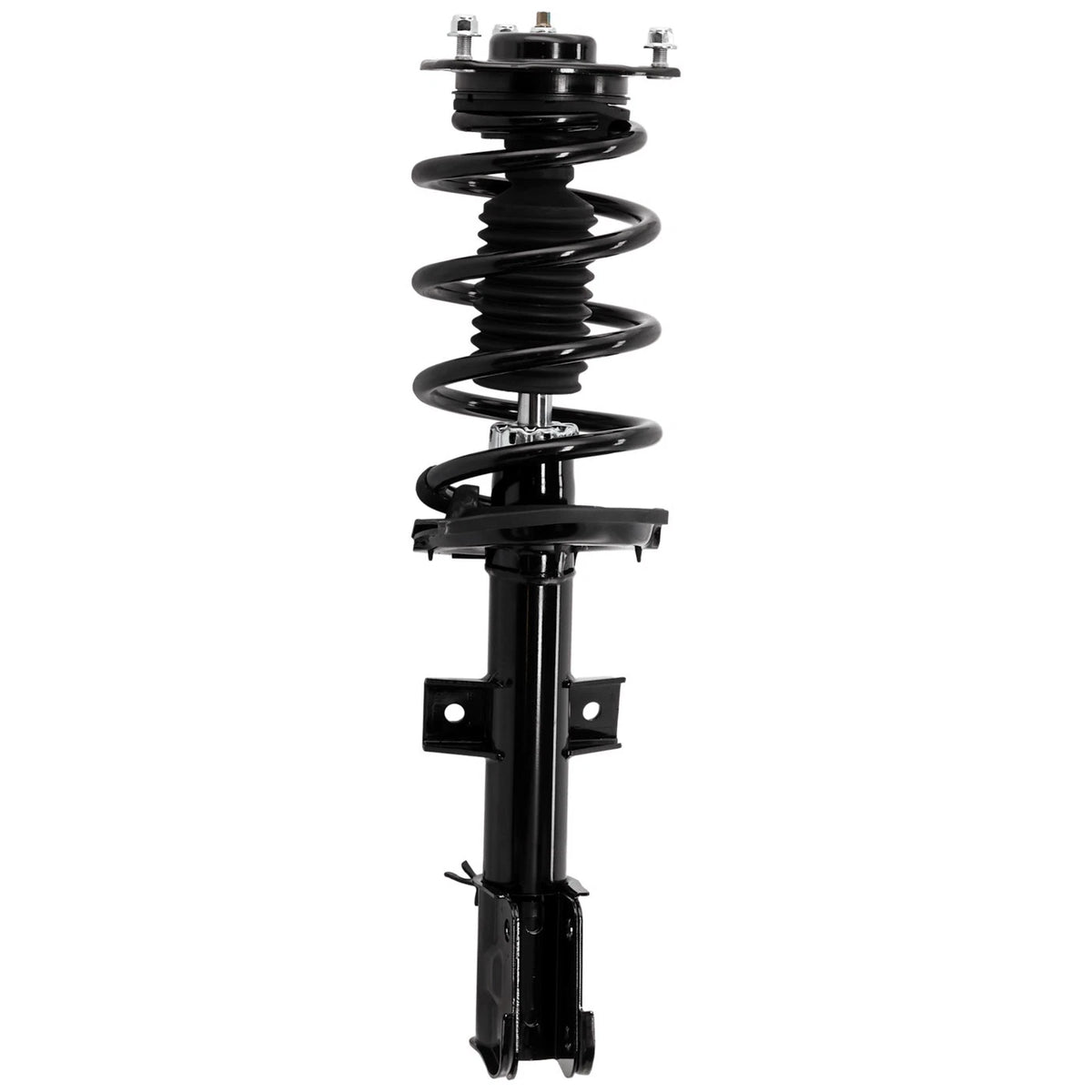 Strut Set of 2 for