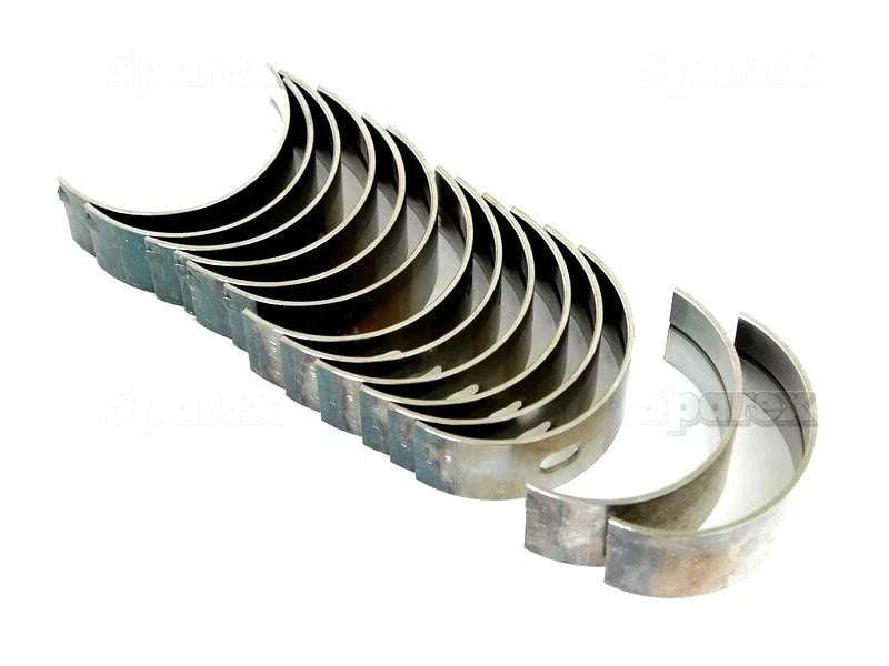 Main Bearing Set for Massey Ferguson 3080 3085 3090 3095 3115 3120 3125