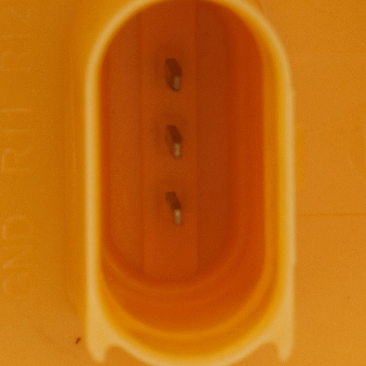 Fuel Pump for Electric Gas Vehicles - Front/Rear, Both Sides
