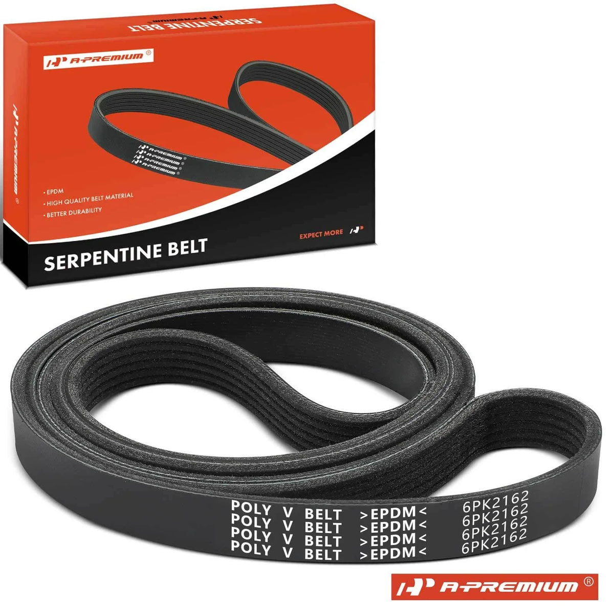Serpentine Belt for Ford Escort (1998–2001)