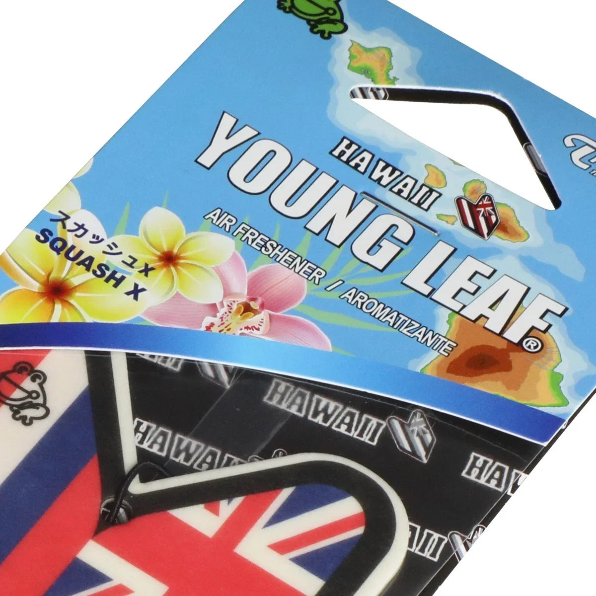 6X Treefrog Young Leaf Squash X Scent Air Fresheners for Car/Room