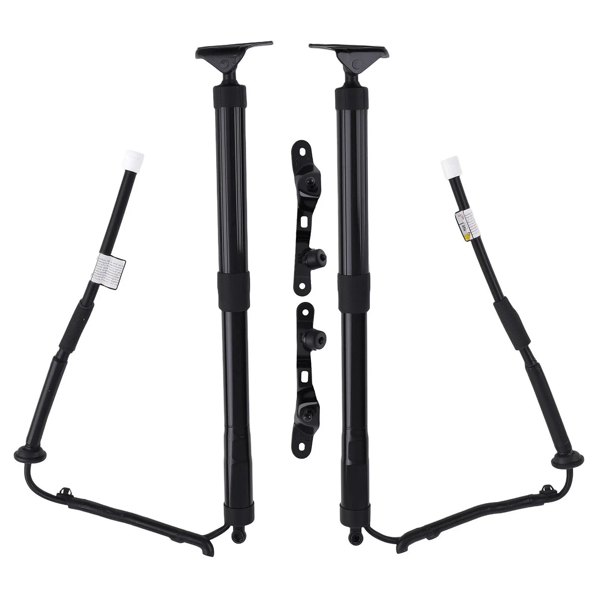 Rear Lift Support Strut Pair for Toyota Highlander 2014–2019