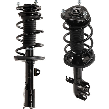 Set of 2 Loaded Struts