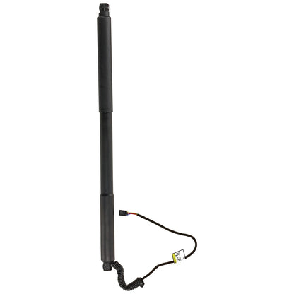 Liftgate Lift Supports Set of 2 for