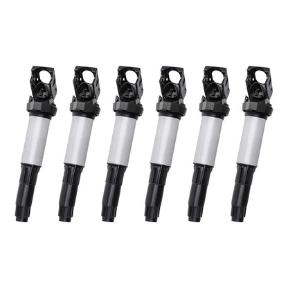6X Ignition Coil + Spark Plug for BMW E46 E53 E60 E83 E90 (1998–2013) 12131712219