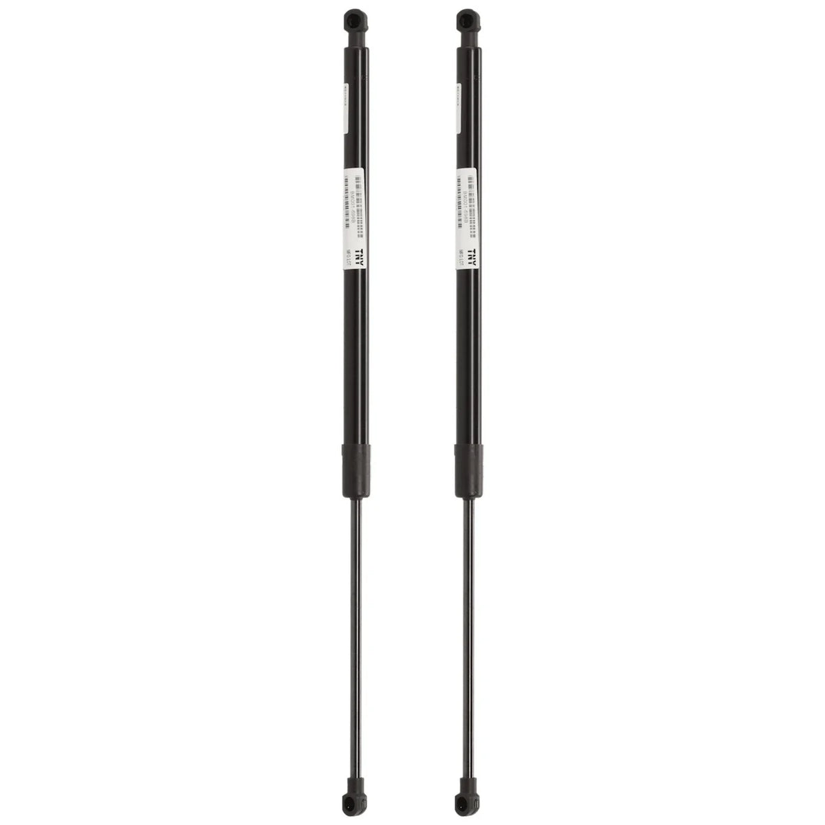 Lift Supports for BMW 325 323 325i Liftgate - Set of 2