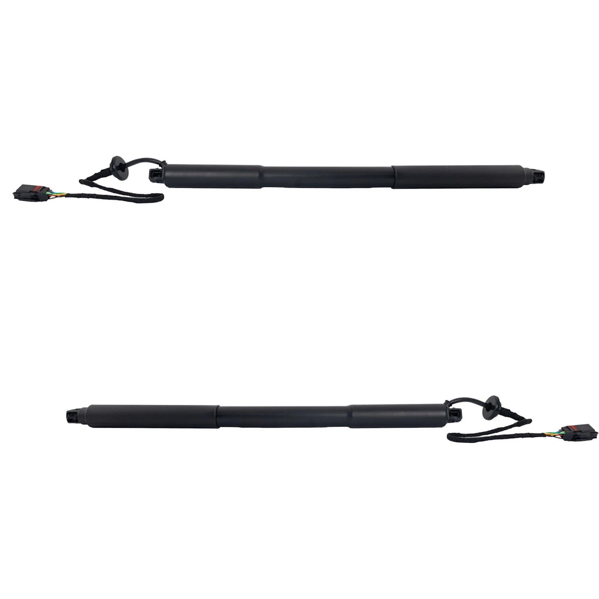 Set of 2 Liftgate Lift Supports for