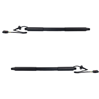 Set of 2 Liftgate Lift Supports for