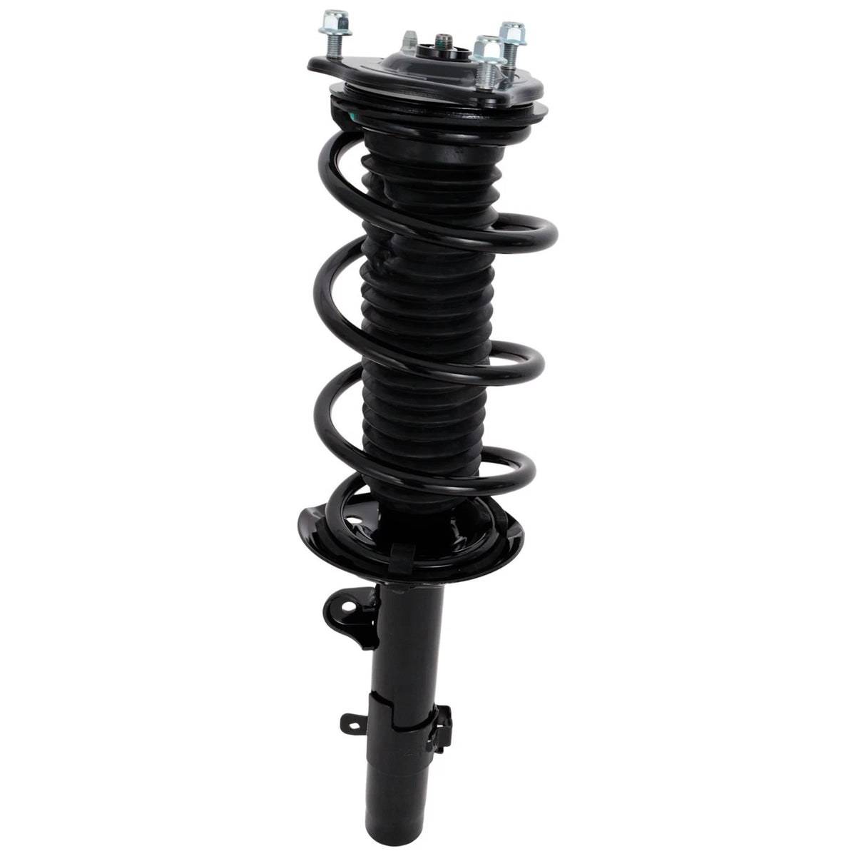 Strut Set of 2