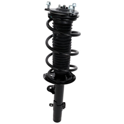 Strut Set of 2