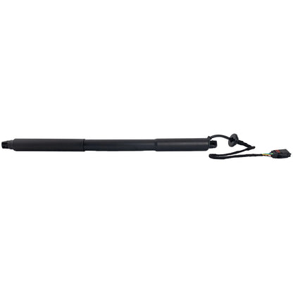 Set of 2 Liftgate Lift Supports for