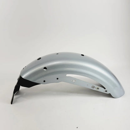 2020 Harley-Davidson Sportster XL1200NS Rear Fender - Barracuda Silver