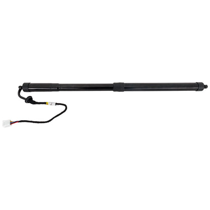 Liftgate Lift Supports Set of 2 for