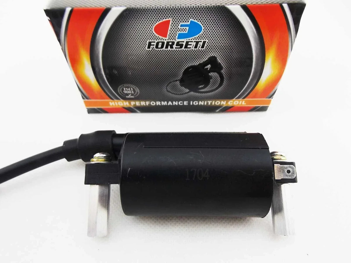 Ignition Coil Assembly with Spark Plug Cap for Suzuki LS650 2011-2014