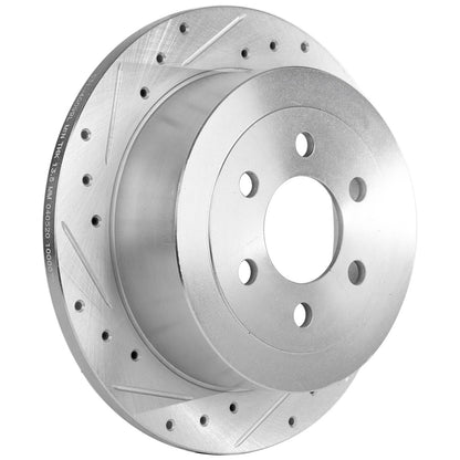 Brake Disc Rotors Rear for Dodge Dakota (2003-2004)