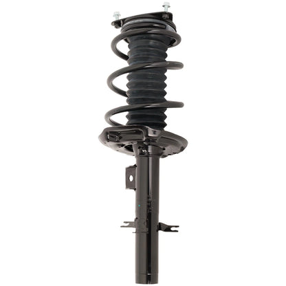 Set of 2 Loaded Struts