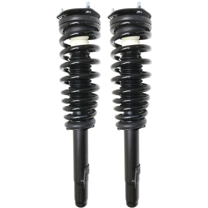 Strut Set of 2