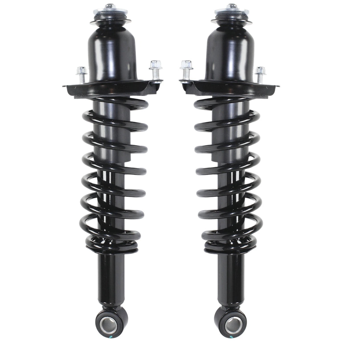 Set of 2 Loaded Struts