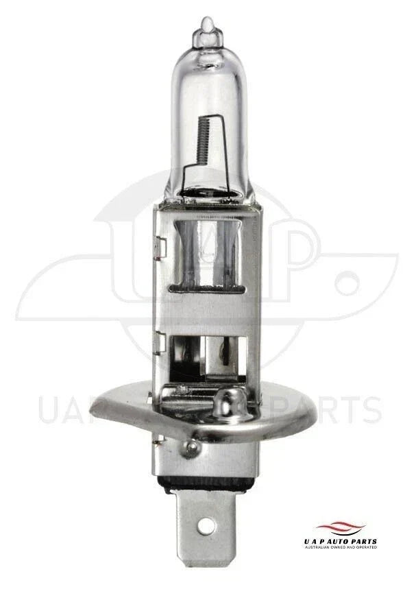 2 x Michiba Halogen Head Light P14.5s 12V 55W for Automotive Use