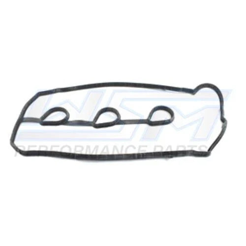 WSM Gasket for