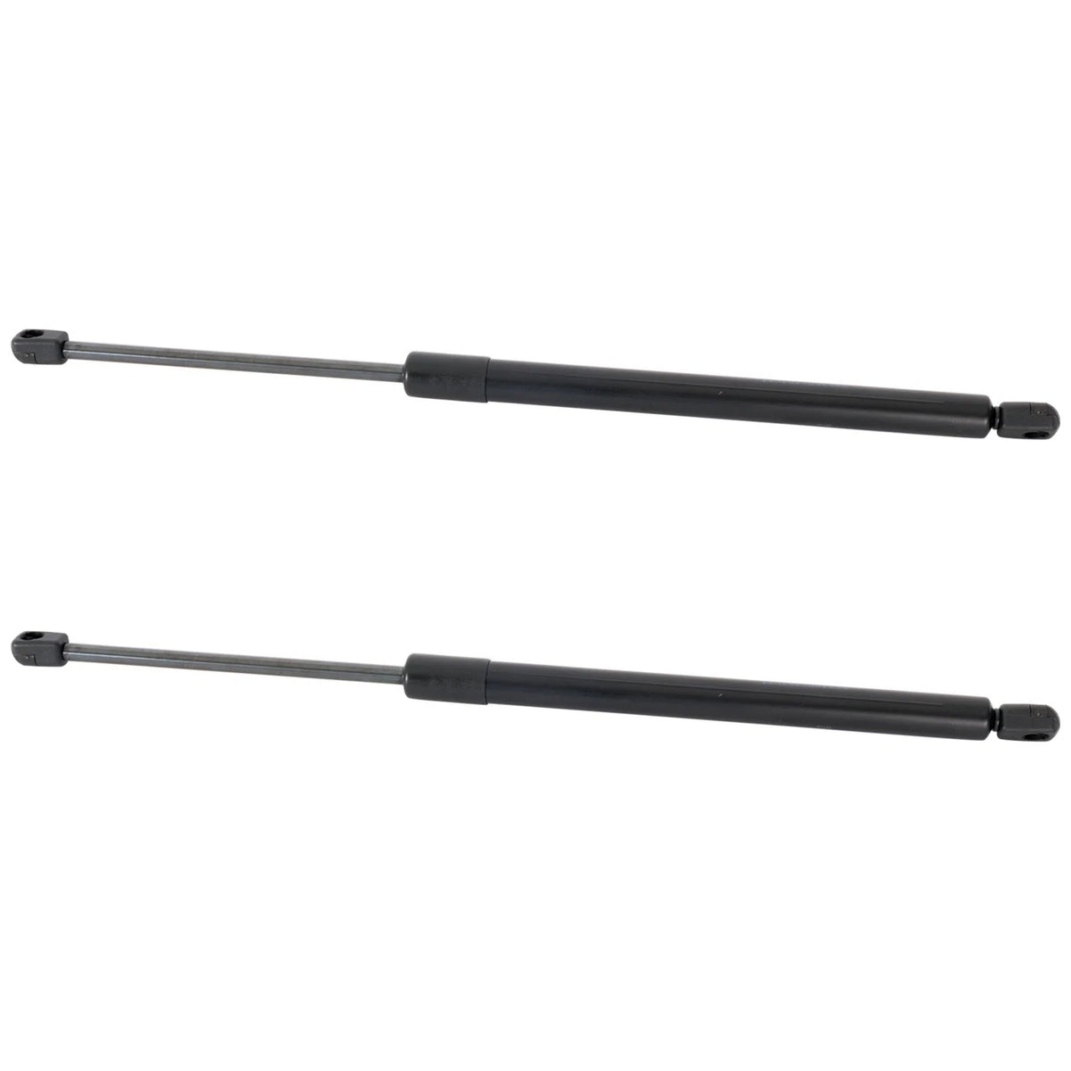 Liftgate Lift Supports Set of 2 for BMW X5 (2000–2006)