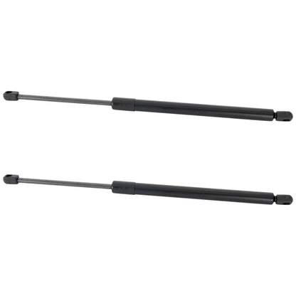 Liftgate Lift Supports Set of 2 for BMW X5 (2000–2006)