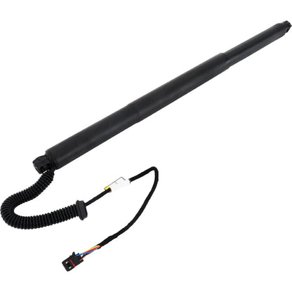 Liftgate Lift Support for VW (5NA827851A)