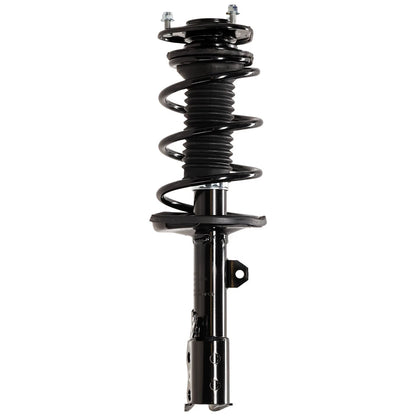 Set of 2 Loaded Struts